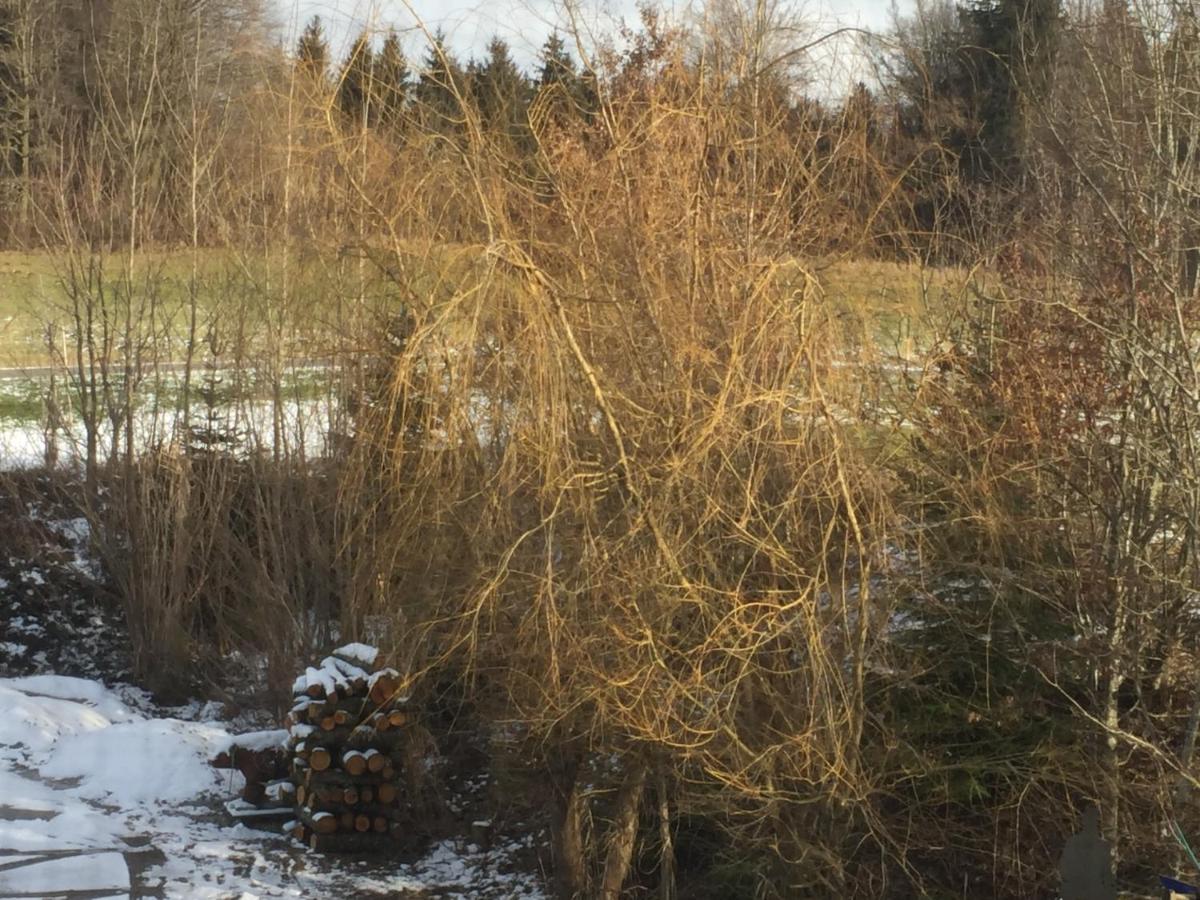 Privatzimmer Vermietung Helmut Buergmann Kirchberg bei Mattighofen Exteriör bild